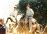 camels1.jpg
