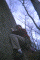 IMG008.gif
