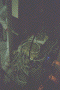 IMG014.JPG