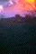 IMG001.jpg
