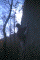 IMG007.jpg