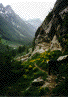 hike.jpg
