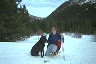 9802co/dog2_sml.jpg